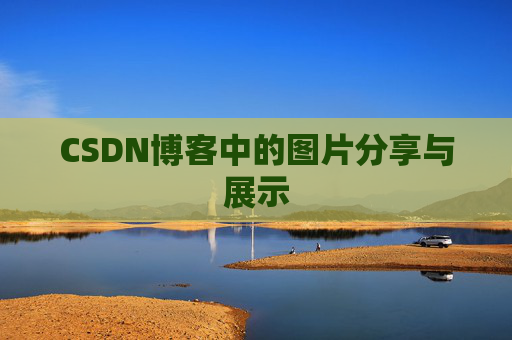 CSDN博客中的图片分享与展示